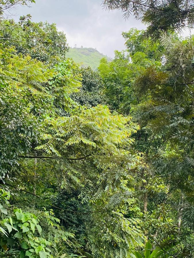 Kurinjiyil Farm Stay Munnar Exterior foto